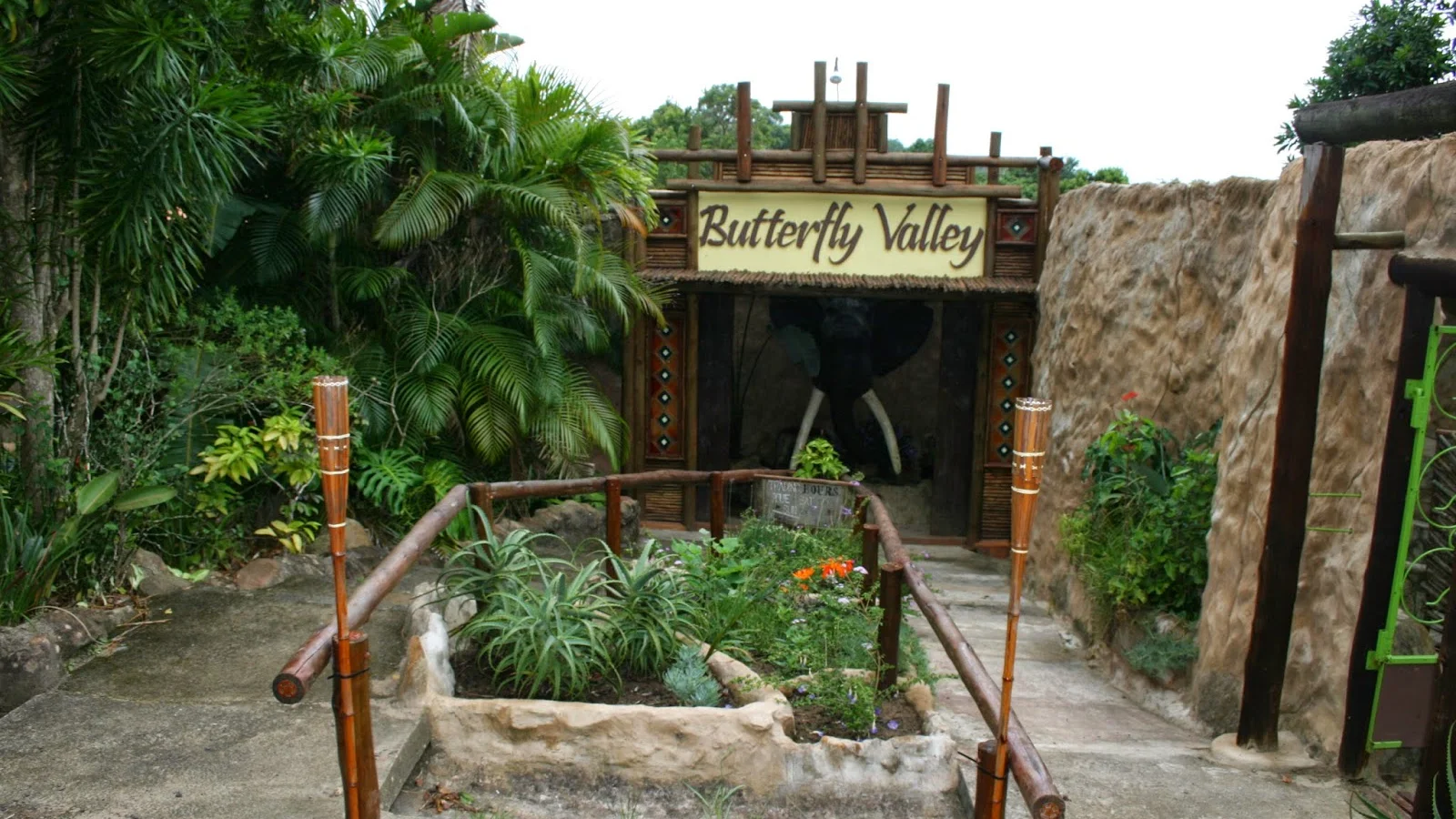 Butterfly Valley butterfly farm — kid-friendly venue in Margate