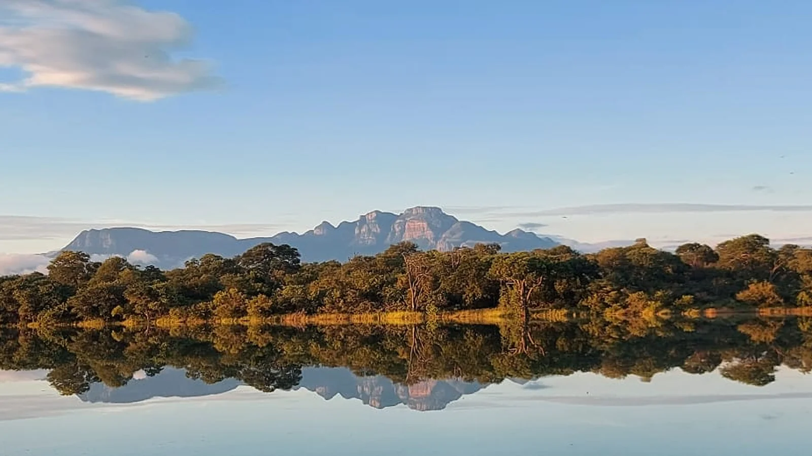 Khaya Ndlovu Game Reserve — kid-friendly venue in Hoedspruit