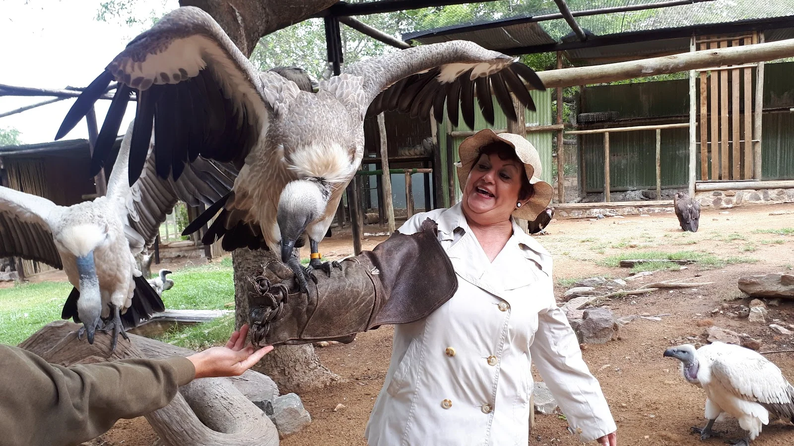 Moholoholo Animal Rehabilitation Centre — kid-friendly venue in Hoedspruit