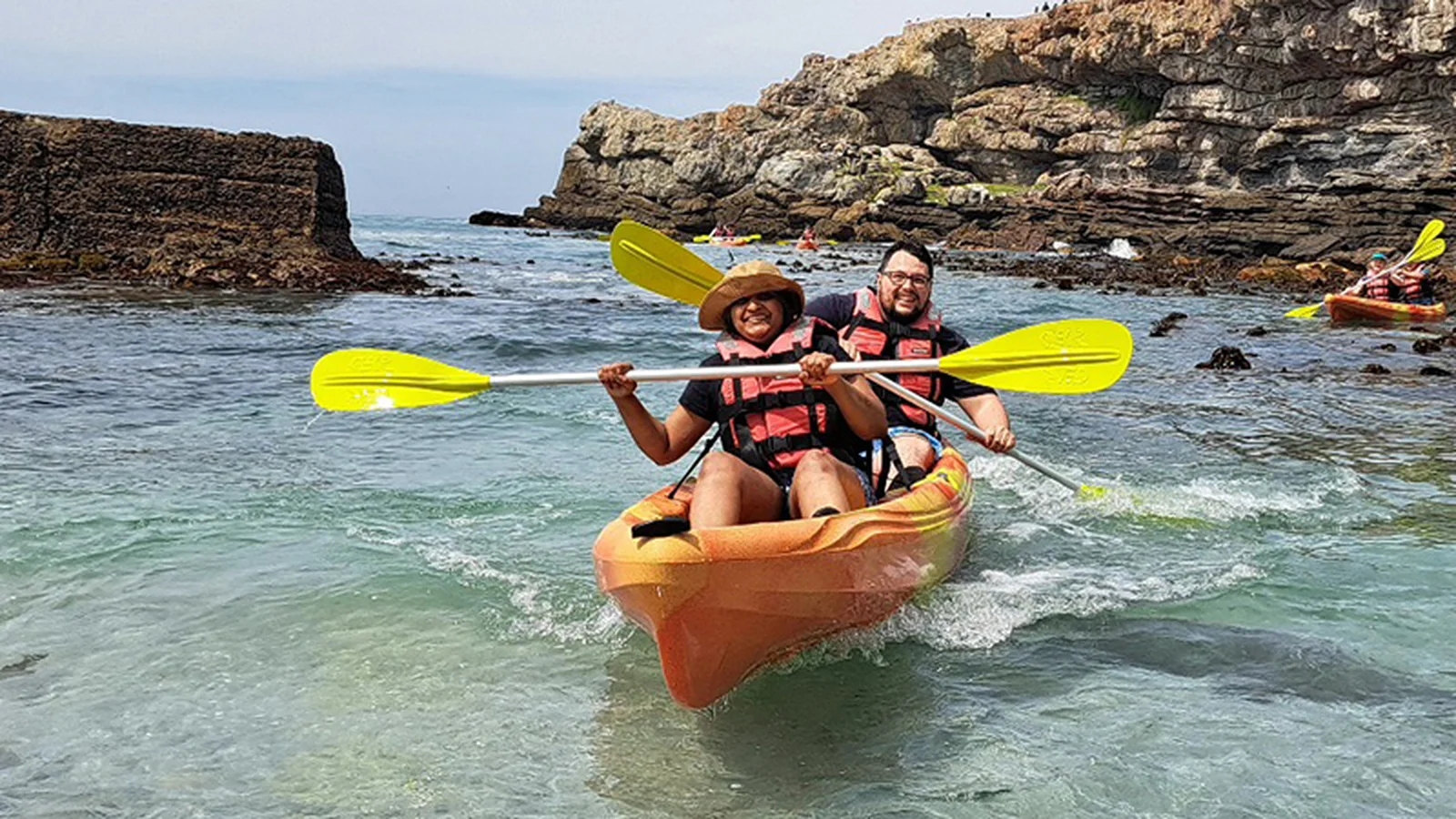 Walker Bay Adventures — kid-friendly venue in Hermanus