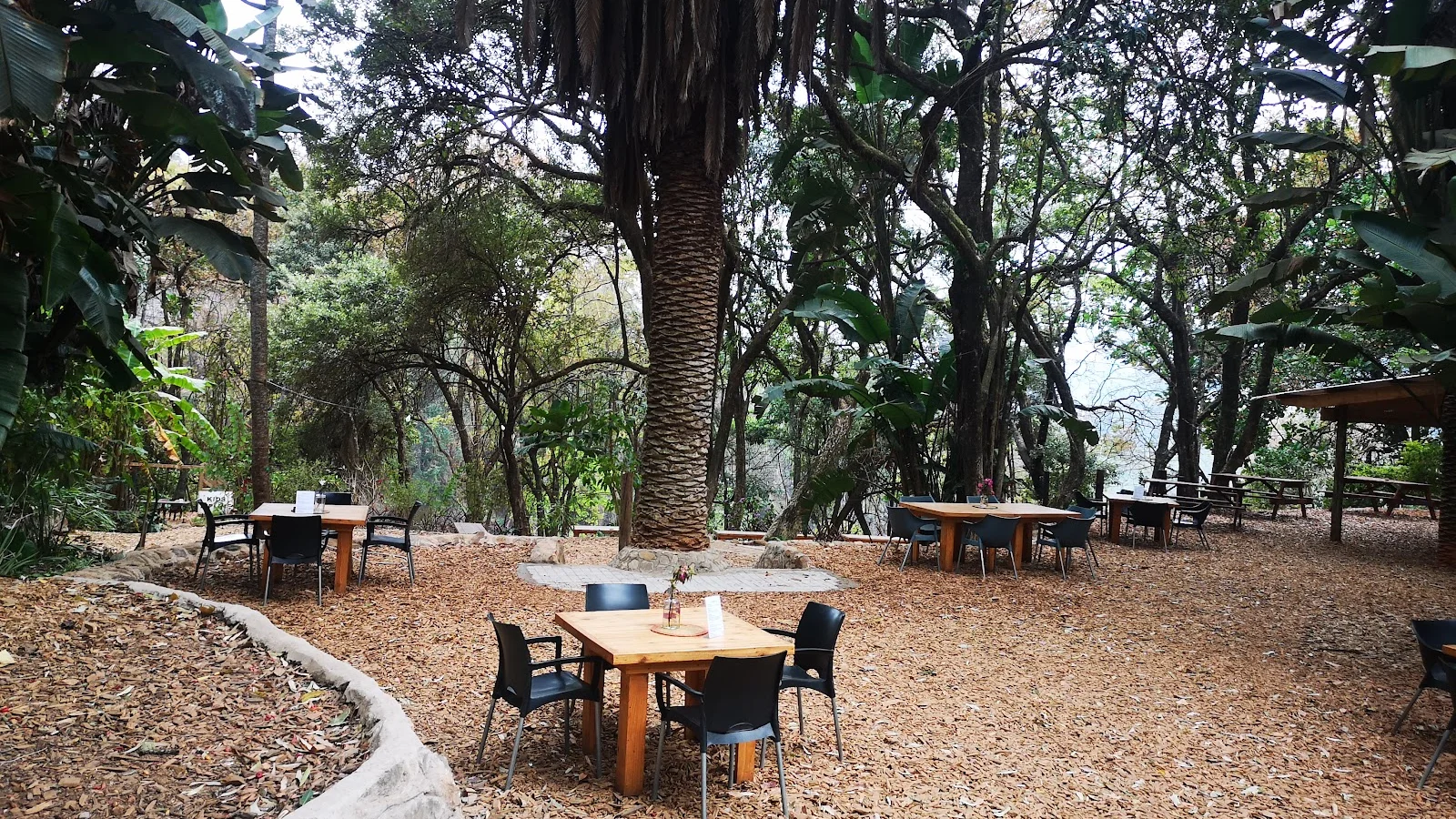 Magoebaskloof Farmstall & Cafe Est 2018 — kid-friendly venue in Tzaneen