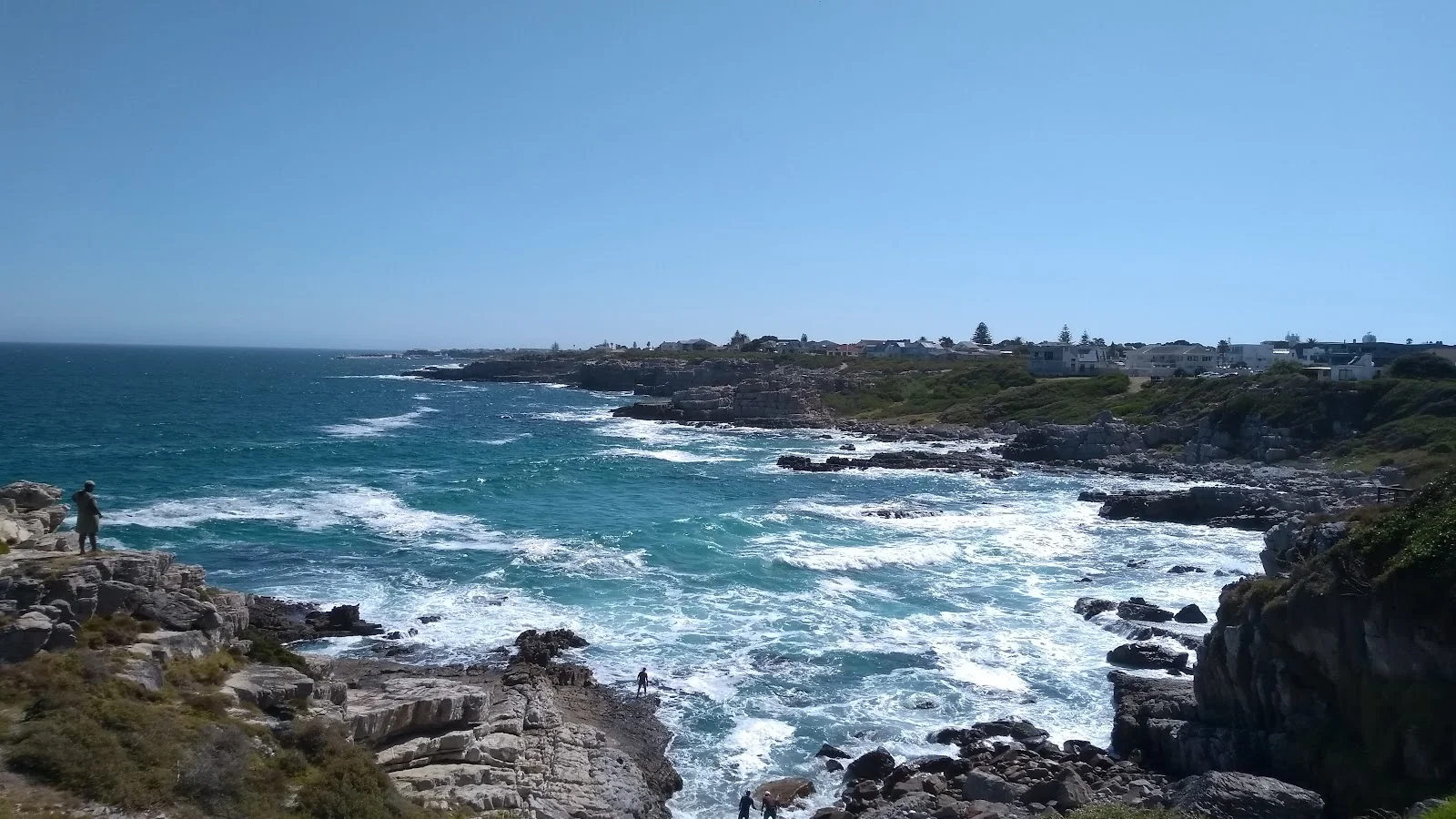 Hermanus Cliff Path Biodiversity Walk — kid-friendly venue in Hermanus